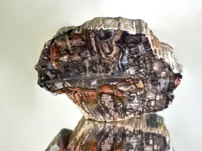 Prokřemenělé dřevo