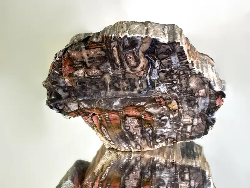 Prokřemenělé dřevo